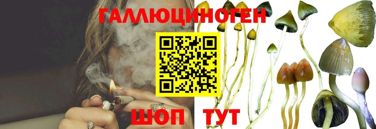Галлюциногенные грибы мицелий Ачхой-Мартан